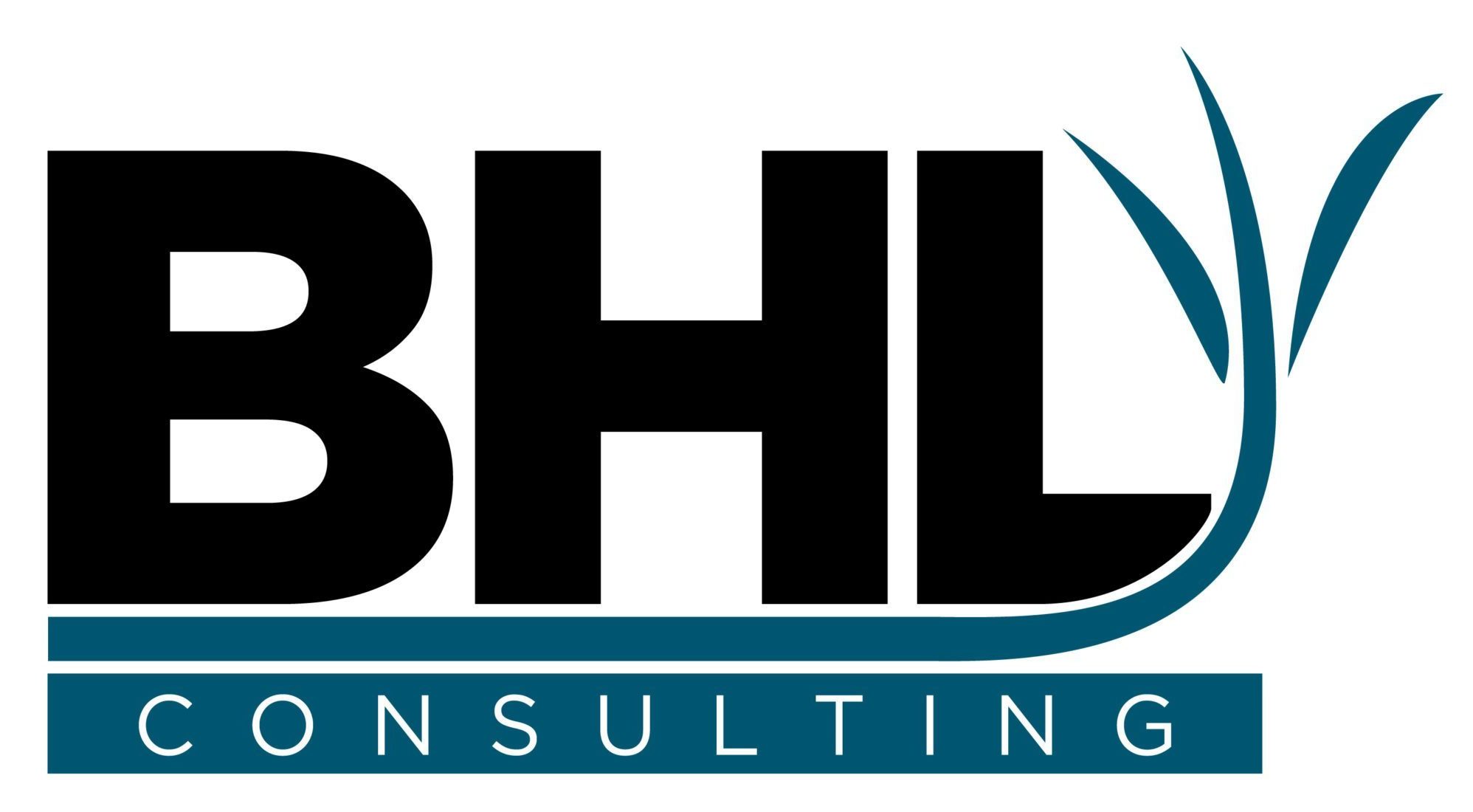 BHL Geosteering Consulting